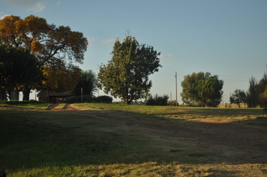 5 Bedroom Property for Sale in Reitz Rural Free State